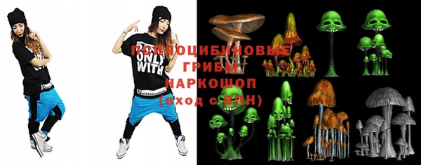 сатива Алексеевка