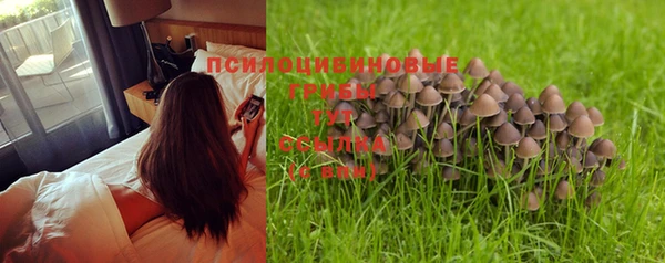 винт Абдулино