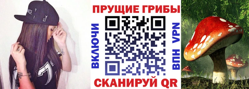 Галлюциногенные грибы GOLDEN TEACHER  Костерёво 